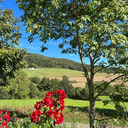 Netten Naturerlebnis Holz-chalets シャレー *