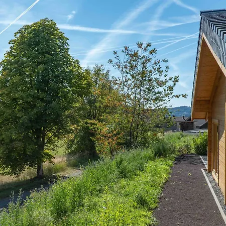 Netten Naturerlebnis Holz-chalets * Daun
