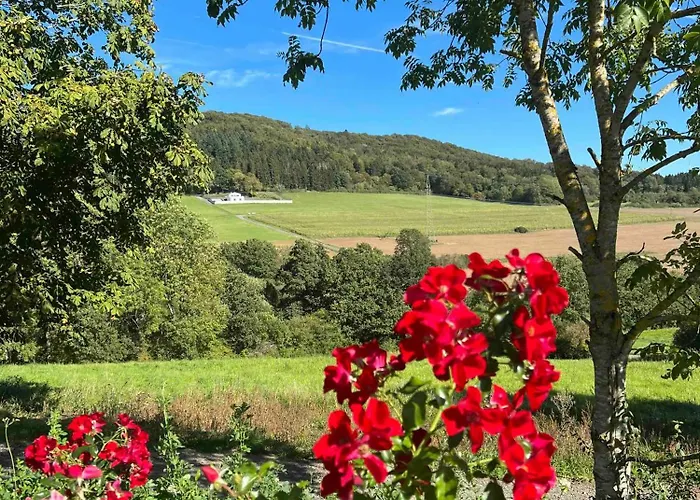 Chalet Netten Naturerlebnis Holz-chalets Daun